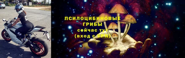 твердый Белокуриха