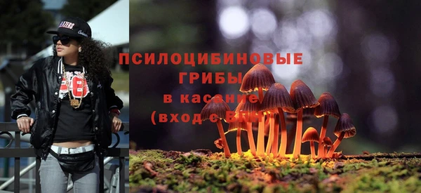 твердый Белоозёрский